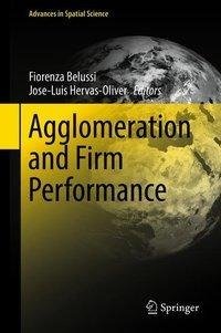 Agglomeration and Firm Performance