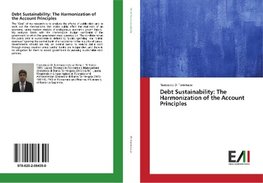 Debt Sustainability: The Harmonization of the Account Principles