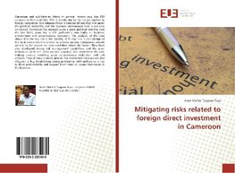 Mitigating risks related to foreign direct investment in Cameroon