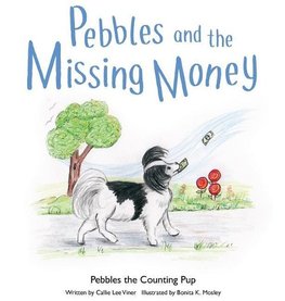 Pebbles and the Missing Money