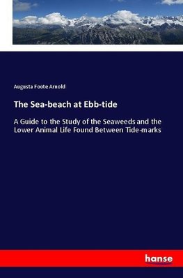 The Sea-beach at Ebb-tide