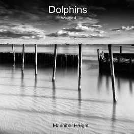 Height, H: Dolphins - Volume 4