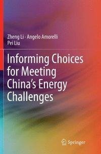 Informing Choices for Meeting China's Energy Challenges