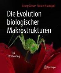 Die Evolution biologischer Makrostrukturen