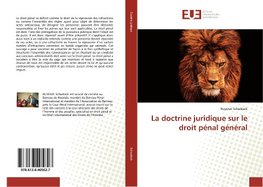 La doctrine juridique sur le droit pénal général