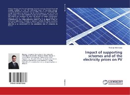 Impact of supporting schemes and of the electricity prices on PV