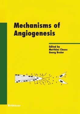 Mechanisms of Angiogenesis