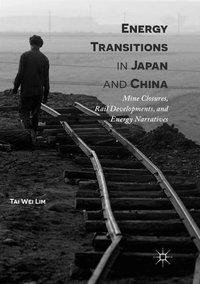 Energy Transitions in Japan and China