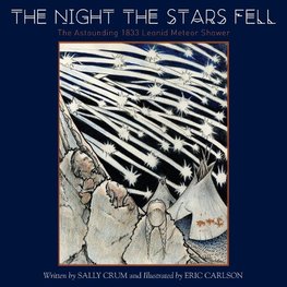 The Night the Stars Fell