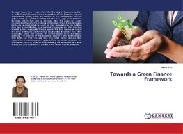 Towards a Green Finance Framework