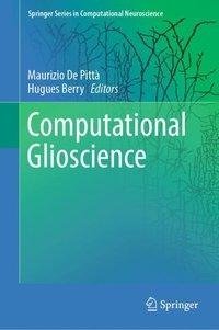 Computational Glioscience