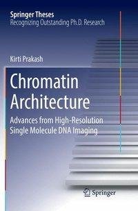 Chromatin Architecture