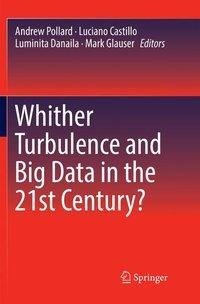 Whither Turbulence and Big Data in the 21st Century?