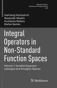 Integral Operators in Non-Standard Function Spaces