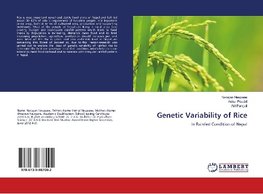 Genetic Variability of Rice