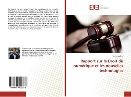 Rapport sur le Droit du numérique et les nouvelles technologies