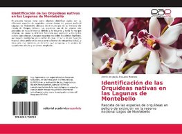 Identificación de las Orquídeas nativas en las Lagunas de Montebello