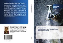 Independent and Small Scale Water Providers