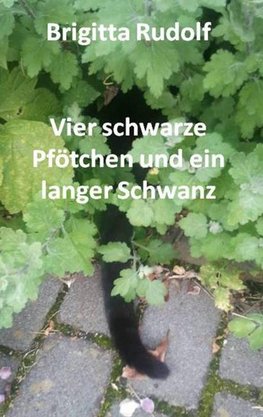 Vier schwarze Pfötchen und ein langer Schwanz