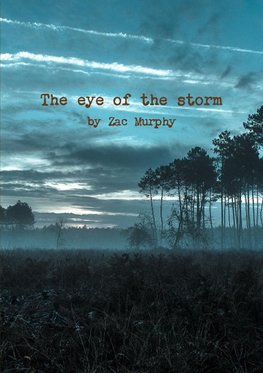 The eye of the storm