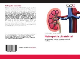 Nefropatía cicatricial