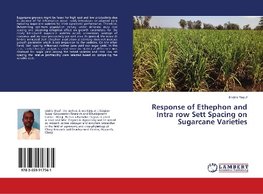 Response of Ethephon and Intra row Sett Spacing on Sugarcane Varieties