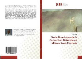 Etude Numérique de la Convection Naturelle en Milieux Semi-Confinés