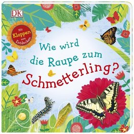 Wie wird die Raupe zum Schmetterling?