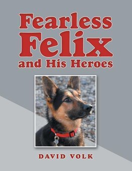 Fearless Felix and His Heroes