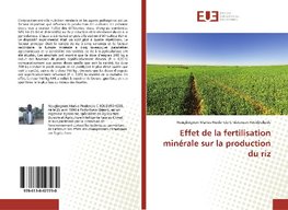 Effet de la fertilisation minérale sur la production du riz