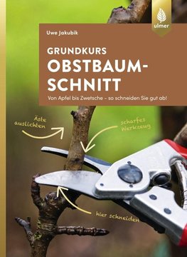 Grundkurs Obstbaumschnitt