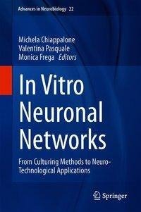 In Vitro Neuronal Networks