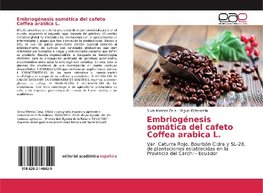 Embriogénesis somática del cafeto Coffea arabica L.