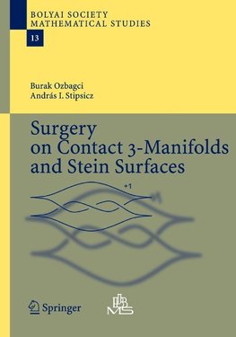 Ozbagci, B: Surgery on Contact 3-Manifolds