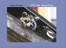 Olaf der Waschbär