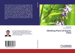 Climbing Plant of Gujrat, India