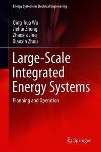 Large-Scale Integrated Energy Systems