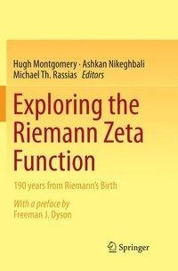 Exploring the Riemann Zeta Function