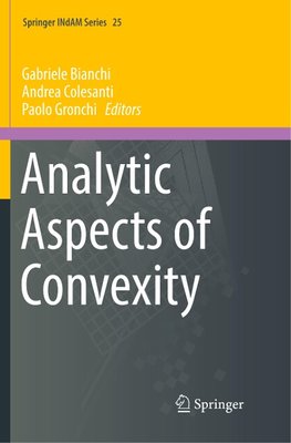 Analytic Aspects of Convexity