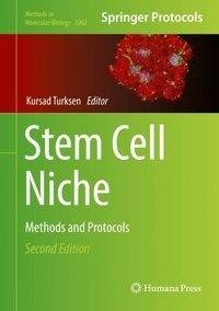 Stem Cell Niche