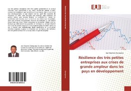 Résilience des très petites entreprises aux crises de grande ampleur dans les pays en développement