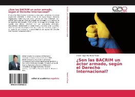 ¿Son las BACRIM un actor armado, según el Derecho Internacional?