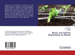 Boron and Salinity Interactions on Wheat