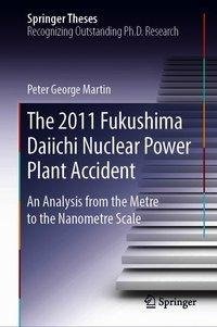 The 2011 Fukushima Daiichi Nuclear Power Plant Accident