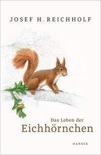 Das Leben der Eichhörnchen