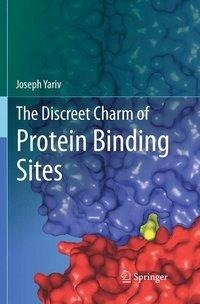 The Discreet Charm of Protein Binding Sites