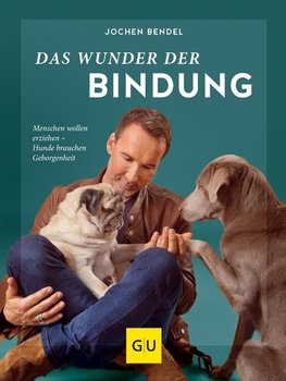 Das Wunder der Bindung