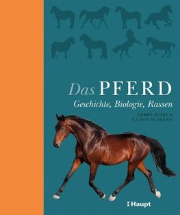 Das Pferd