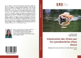 Intoxication des chiens par les cyanobactéries d'eau douce