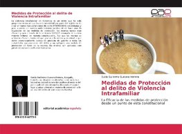 Medidas de Protección al delito de Violencia Intrafamiliar